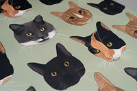 Cats Wrapping Paper