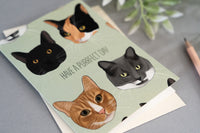 Cats Purrfect Day Card