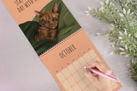 Cat 2027 Calendar | PRE ORDER