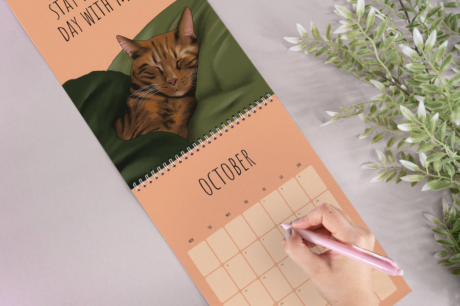 Cat 2027 Calendar | PRE ORDER