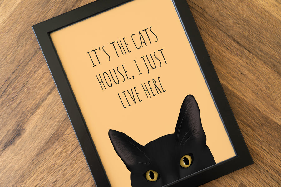 It's The Cats House Print