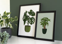 Swiss Cheese Houseplant Print