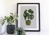 Swiss Cheese Houseplant Art Print