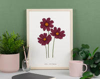 Cosmos Floral Art Print