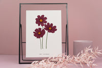 Cosmos Floral Art Print