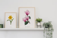 Daffodil Floral Art Print