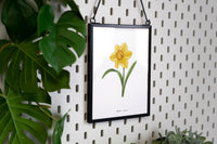 Daffodil Floral Art Print