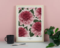 Dahlias Art Print