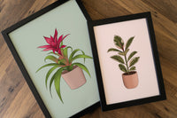 Candy Guzmania Houseplant Print