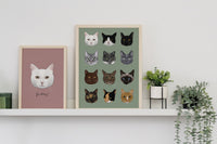 A Rainbow of Cats Print