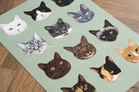 A Rainbow of Cats Print