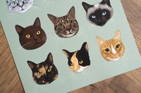 A Rainbow of Cats Print