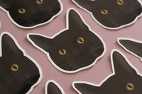 Black Cat Sticker