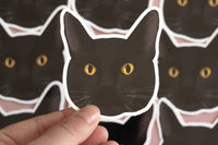 Black Cat Sticker