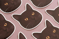 Brown Cat Sticker