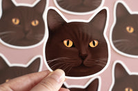 Brown Cat Sticker