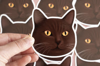 Brown Cat Sticker