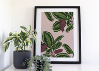 Calathea Pattern Houseplant Art Print