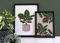 Calathea Houseplant Print