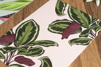 Calathea Pattern Houseplant Print