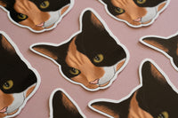 Calico Cat Sticker