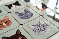 Grey Tabby Cat Coaster