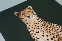 Cheetah Art Print