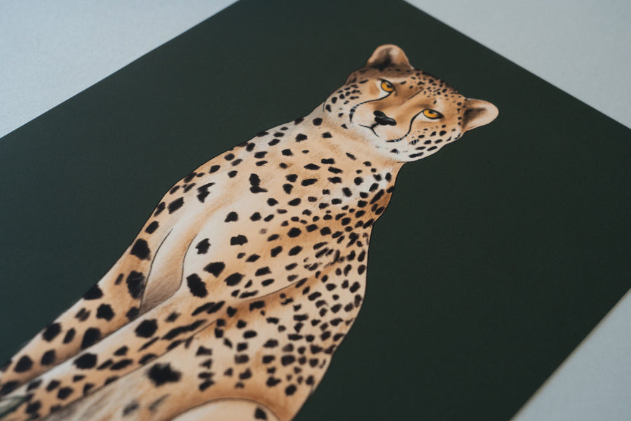 Cheetah Art Print