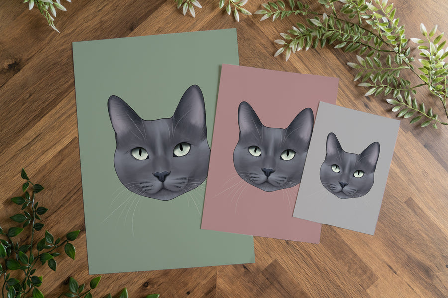 Blue Grey Cat Print