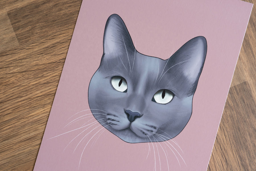 Blue Grey Cat Print