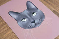 Blue Grey Cat Print