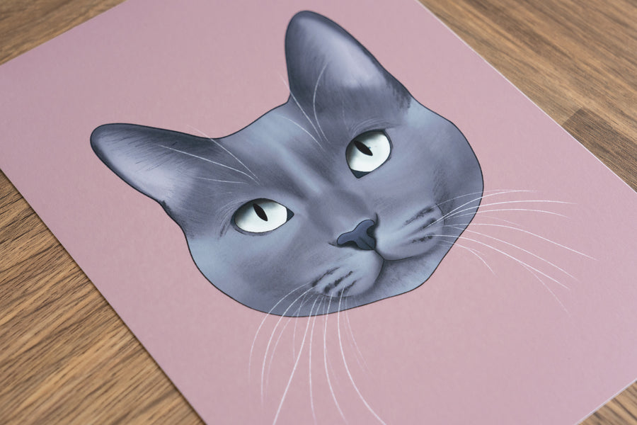 Blue Grey Cat Print