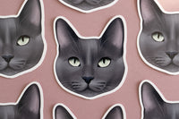 Blue Grey Cat Sticker