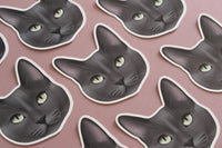 Blue Grey Cat Sticker