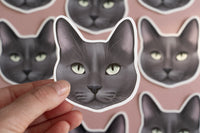 Blue Grey Cat Sticker