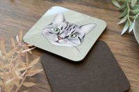 Grey Tabby Cat Coaster