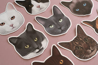 Tabby Cat Sticker