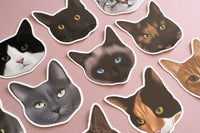 Pointed Cat Sticker