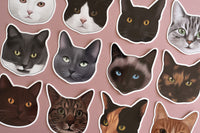 Pointed Cat Sticker