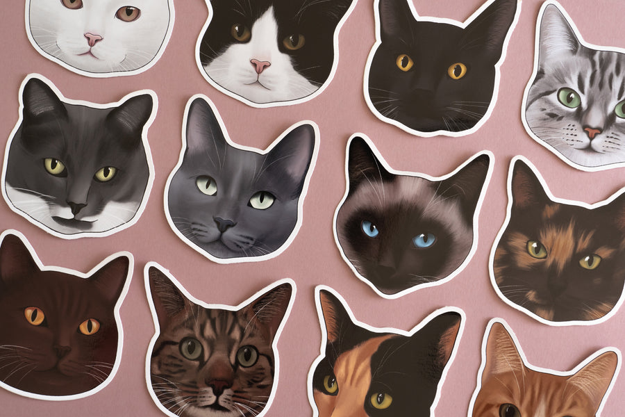 Grey & White Cat Sticker