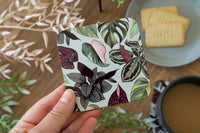 Houseplant Leaves Coaster