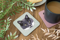 Grey & White Cat Coaster