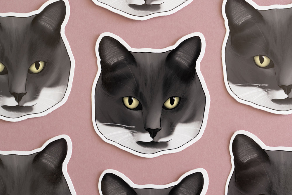 Grey & White Cat Sticker