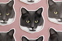 Grey & White Cat Sticker