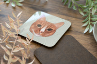 Orange Cat Coaster