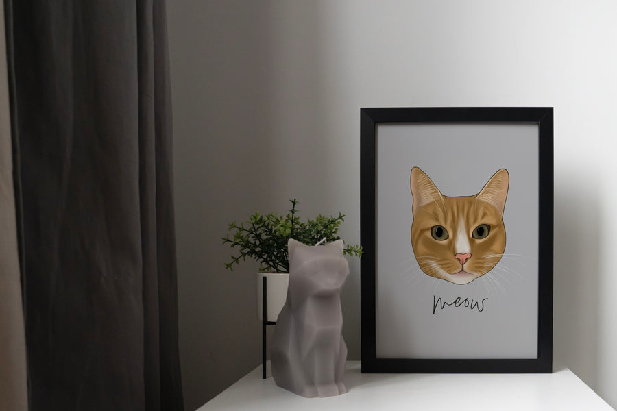 Orange Cat Print