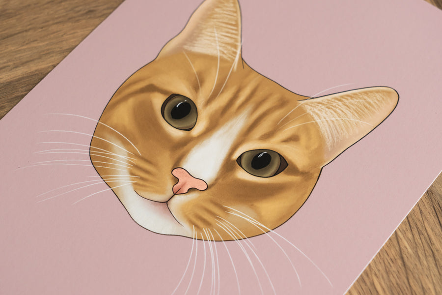 Orange Cat Art Print