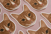 Orange Cat Sticker