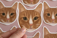 Orange Cat Sticker