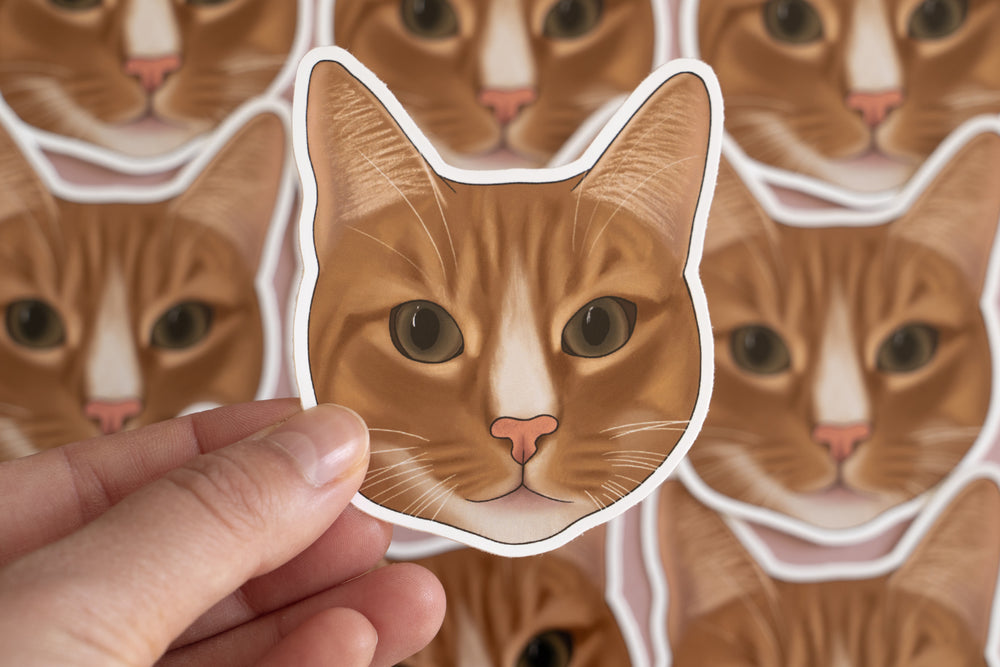 Orange Cat Sticker